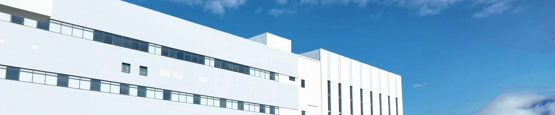 企業簡介